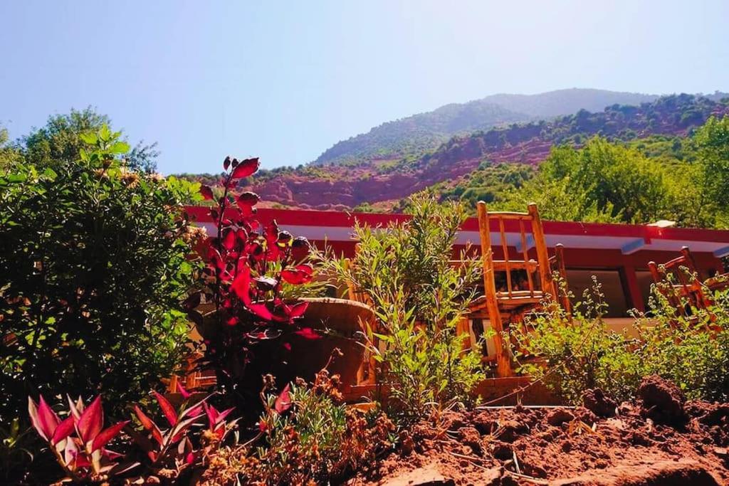 Ourika Atlas Vu Panoramique Avec Piscine Privee Appartement Marrakesh