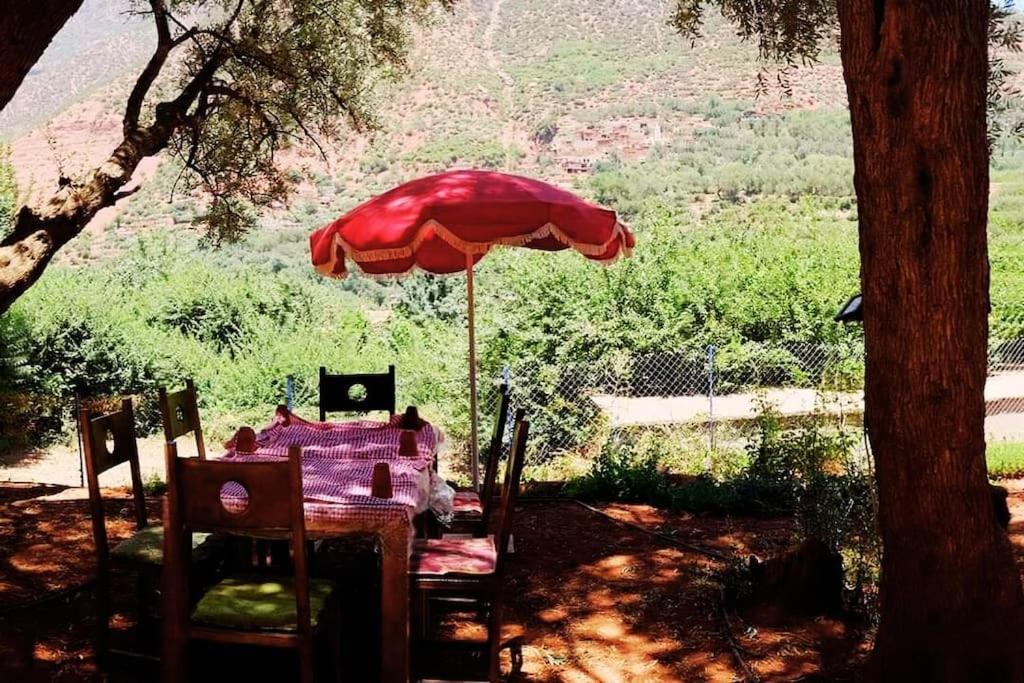 Ourika Atlas Vu Panoramique Avec Piscine Privee Appartement *